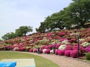 kazuさんさんの西山公園の投稿写真2