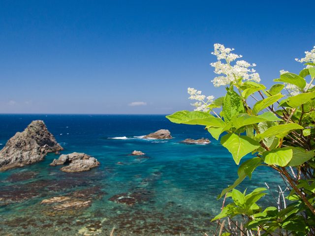 神威岬から西方向の海。素晴らしい青です。_神威岬