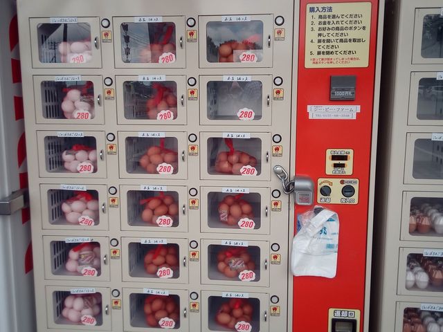地鶏卵の自販機_道の駅 なかさつない