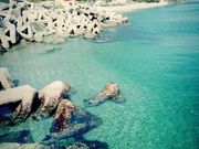 たいかいさんの塩成海水浴場の投稿写真1