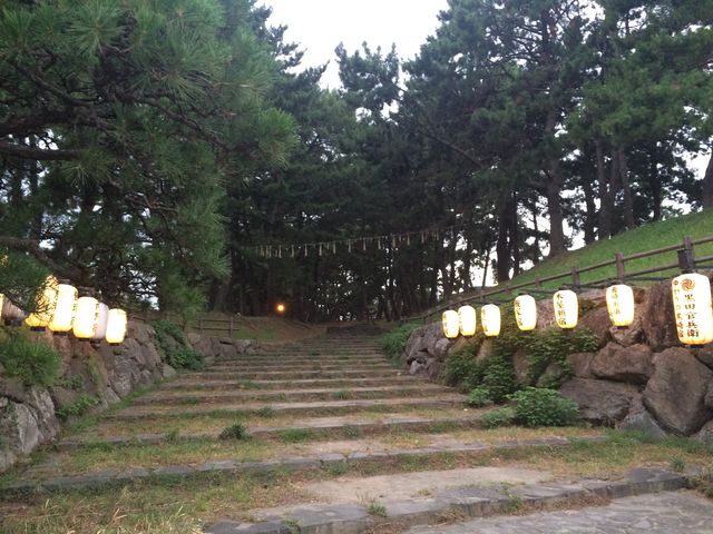 松並み木入口_曲里の松並木