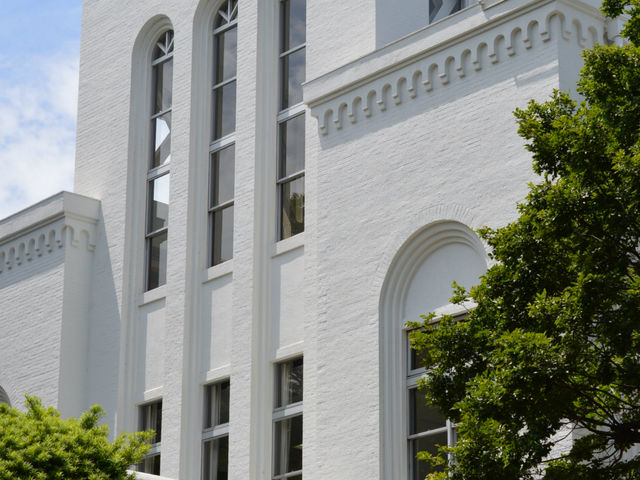 ぺんちさんの中央公園の投稿写真1