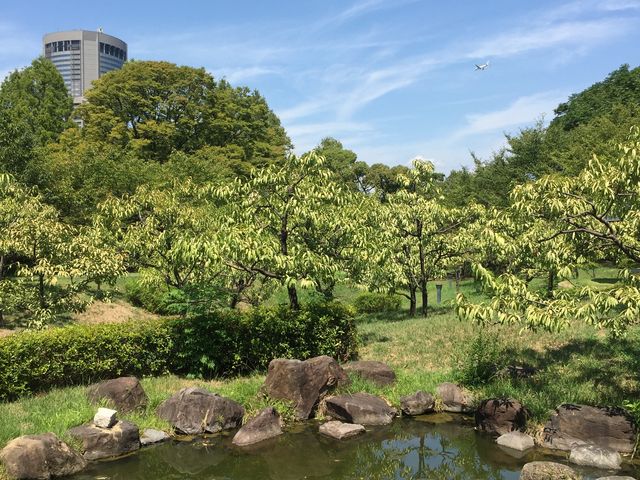 OAPビルと公園と大阪空港に向かう飛行機_旧藤田邸庭園
