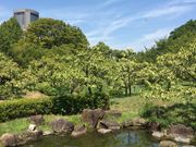 いむさんの旧藤田邸庭園の投稿写真1