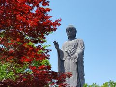 牛久大仏の写真1
