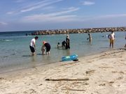 ふわふわさんの五色ケ浜の投稿写真2