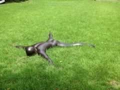 彫刻の森美術館の写真1