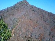 トシさんの飯士山の投稿写真2
