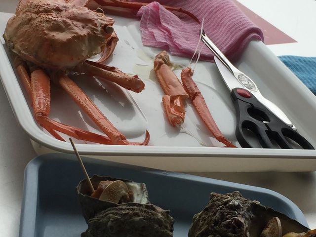 道の駅 親不知ピアパークレストピア