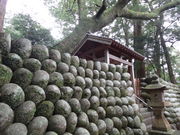やんまあさんの飛鳥神社樹叢の投稿写真1