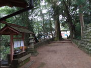 やんまあさんの飛鳥神社樹叢の投稿写真1