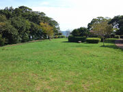 yoshiさんの大崎公園の投稿写真3