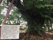 あっきーさんの千葉寺の投稿写真9