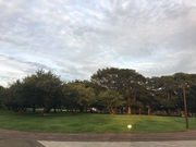 あっきーさんの花島公園の投稿写真12