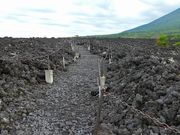 マックさんの焼走り熔岩流の投稿写真9