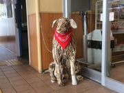 カヌーイストさんの道の駅 オスコイ!かもえないの投稿写真2