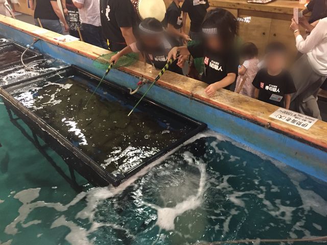 アジ釣り中!_釣船茶屋 ざうお 新宿店