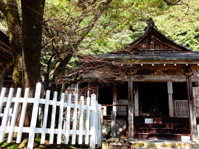 月輪寺_月輪寺