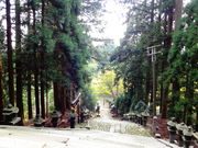 しどーさんの愛宕山の投稿写真2