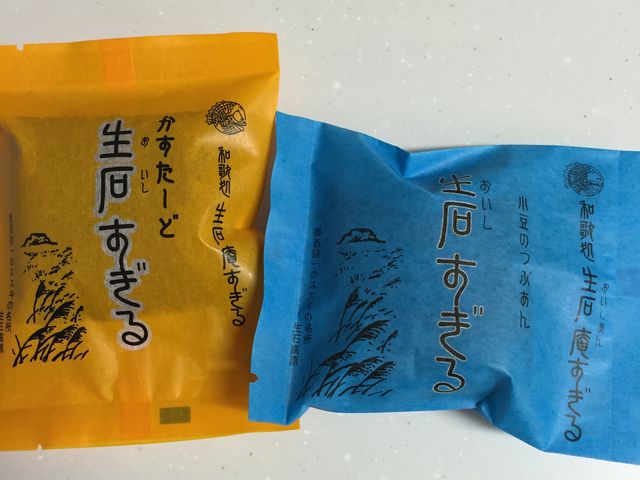 生石すぎる_生石庵すぎる