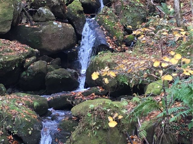 早池峰山(岩手県遠野市)
