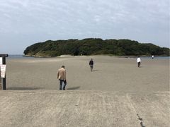 あつかずさんの沖ノ島ダイビングサービスマリンスノーへの投稿写真1