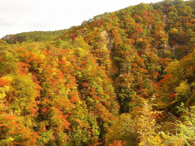 鳴子峡の紅葉_鳴子峡の紅葉