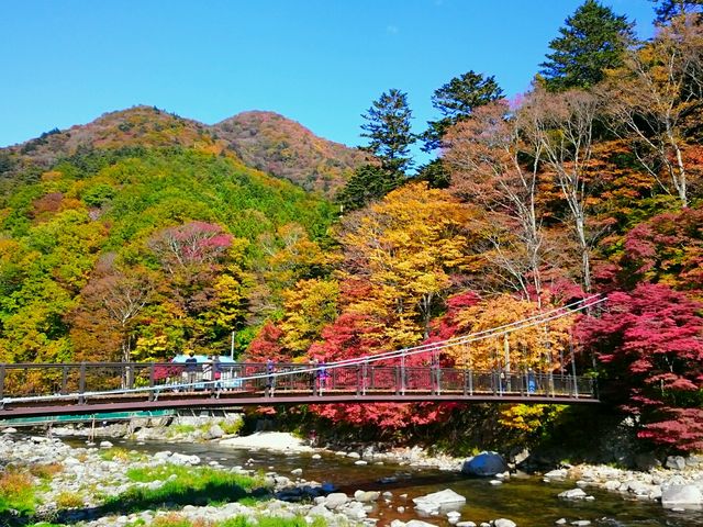 見事な高原と吊り橋です。_塩原もの語り館