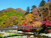 yu‐cyanさんの塩原もの語り館の投稿写真1