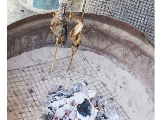 マス_秋川国際マス釣場