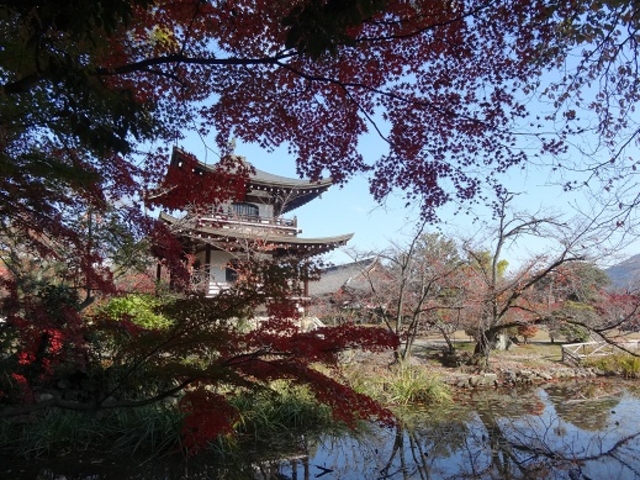 観音堂と氷室池_勧修寺