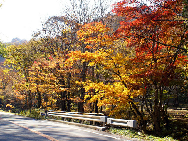 西ウレ峠付近_せせらぎ街道の紅葉