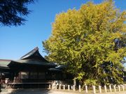 ジンさんの葛飾八幡宮の投稿写真1