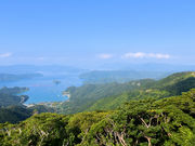仏像さんの高知山展望台の投稿写真1