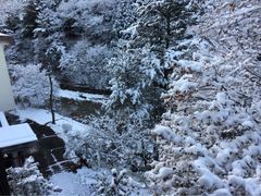 四万温泉の写真1