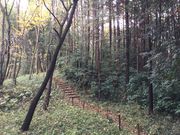 マイBOOさんの狭山丘陵の投稿写真1