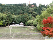 しんちゃんさんの山根公園の投稿写真1