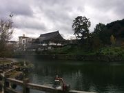 ヒゲバラパンさんの鹿野の投稿写真1