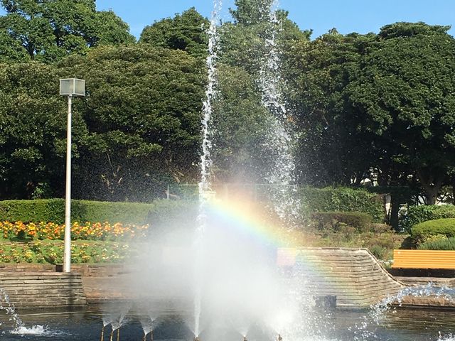 幕張海浜公園
高校時代を過ごした場所_県立幕張海浜公園