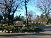 瑠璃蝶さんの高崎公園の投稿写真1