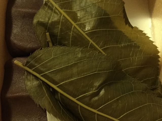 琴きき茶屋