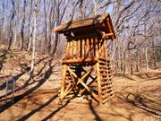 5525さんの狭山緑地・フィールドアスレチックの投稿写真3