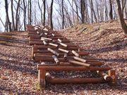 5525さんの狭山緑地・フィールドアスレチックの投稿写真8