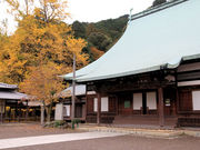 しんちゃんさんの瑞應寺の投稿写真2