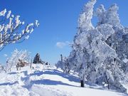 nukunukuさんの綿向山の投稿写真3