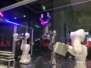 じょんさんのKawasaki Robostage(カワサキ ロボステージ)の投稿写真3