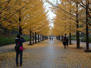 久美さんのあづま総合運動公園の投稿写真1