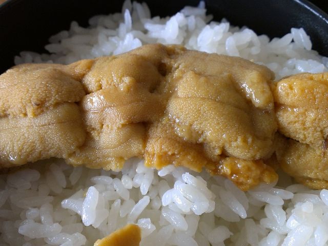 うにをどーん_いか本家 いそ浜別館