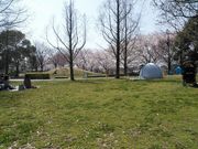 ぽんたさんのとだがわこどもランドの投稿写真1