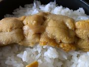 しんしんさんのいか本家 いそ浜別館の投稿写真3